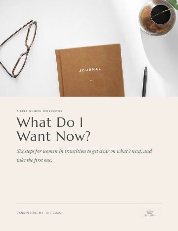 Cover of the What Do I Want Now? workbook